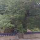 오저1리 이미지