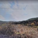 다보부동산중개사무소 이미지