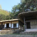 박원숙(朴原淑) 초가겹집 Daum카페