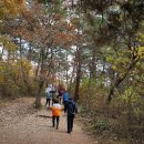 김삿갓농장 이미지