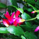 더노벰버스테이 이미지