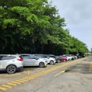 센트럴렌트카 | 다낭 꼭 가볼만한곳 혼자 여행 일정 코스 렌트카 대여 추천 후기