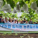 산내농협 이미지