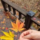 킴스게러지 이미지