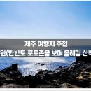 지에스25 남원위미점 | 제주 여행지 추천 :: 남원(한반도 포토존을 보며 올레...위치, 정보, 후기, 패스, 솔직, 가볼만한 곳...