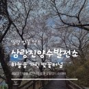 삼랑진양수발전소 | '밀양 삼량진 벚꽃 명소' 삼랑진 양수발전소 안태호 꽃비 내리는 코스 (주차꿀팁)