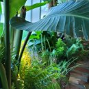 스타즈호텔프리미어동탄 이미지