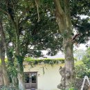 난산리-1 | 난산리식당 :: 제주 성산 파인다이닝, 런치 코스 후기