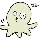 수타꿀빵 네이버블로그