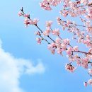 구교동1길 이미지