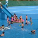 횡성스포랜드 네이버블로그