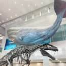 지적박물관 | 4살 아이 서대문 자연사 박물관 관람 후기