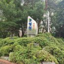 청솔아파트(9동) 이미지