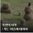 2019년 거리로 나온 예술 | MMCA 서울 <소멸의 시학: 삭는 미술에 대하여> 전시회 후기