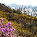 꽃잔치 - 고양시 덕양구 화신로 102 | 꽃잔치