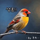 참된 휴식(여유)이란? 이미지