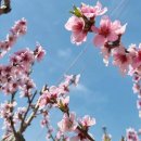 부안박외과의원 이미지