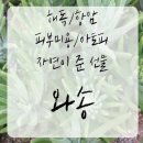 파인락
