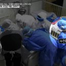 유림-13 이미지