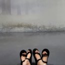 강릉 아르떼뮤지엄 넘 예쁘잖아