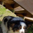 경남주유소화장실 이미지