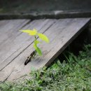 동네뽑기방 이미지