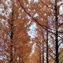 세상을쓰다 이미지