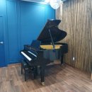 소수집중 바이올린 이미지