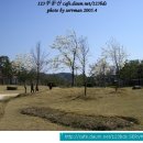 신안평거녹지 이미지