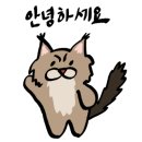 오월돼지 이미지