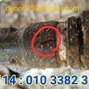 노가니길 이미지