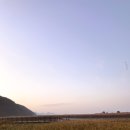 순천만습지 이미지