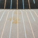 부천손세차장 이미지