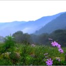 곰배령설피마을 이미지