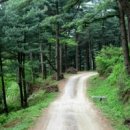 안개비