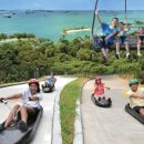 스카이라인 루지 앞 이미지