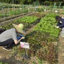 오병이어농장 이미지