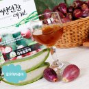 자연그대로 체질