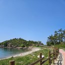 군산 국립신시도자연휴양림 산책/주차비와 입장료는 유료
