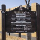 중구다목적구장 이미지