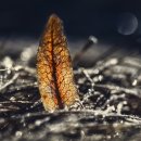 청암순대 이미지