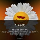 덕망 Daum카페