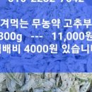 노루목농장 네이버블로그