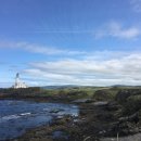 등대로R 이미지