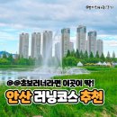 호수공원 제2주차장 | 주말 안산 데이트 추천 :: 안산호수공원 3km 러닝코스 후기 &amp; 주차 꿀팁