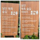 남산힐링쉼터 | 남산 북측 숲길 따라 남산타워까지 걸어본 서울 산책 코스 후기