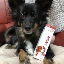 한울메디케어 이미지