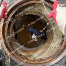 백년대로 이미지