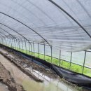 이명환농장 이미지