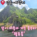 영동 여행지 추천 달님도 반한 월류봉 둘레길 방문 후기 징검다리 주차장